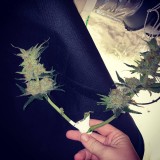 IMG_20200808_133535_948