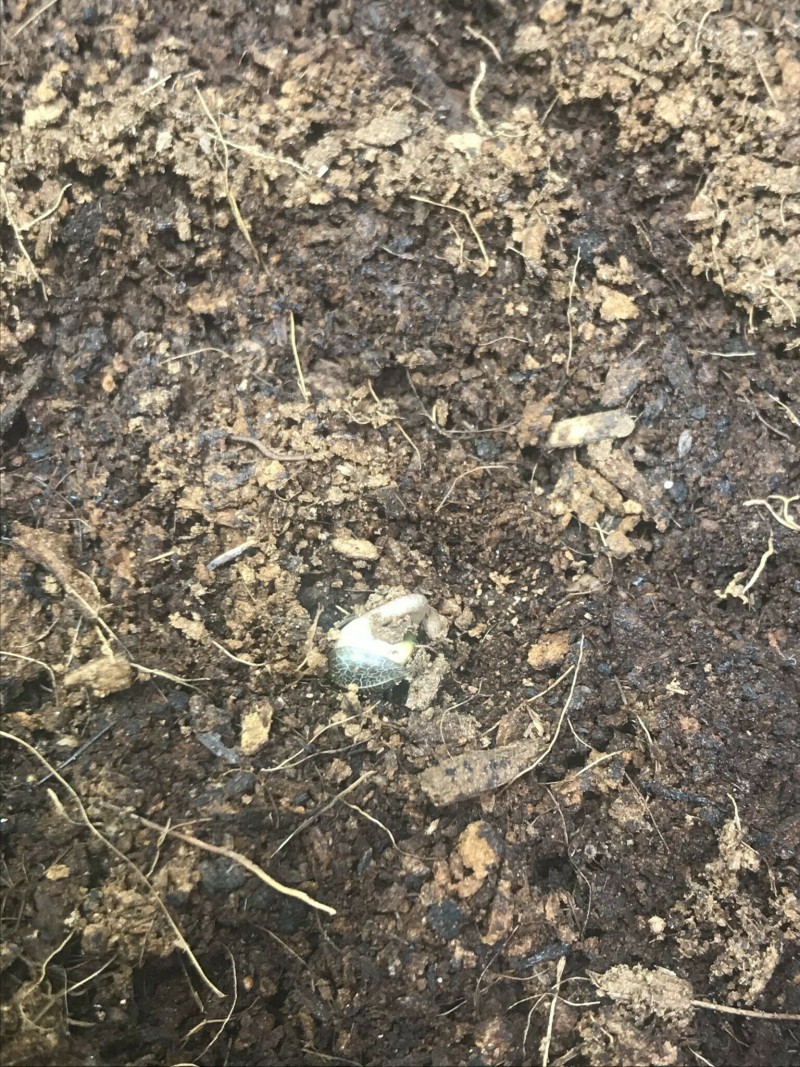 600EC5BB-58BC-47F5-AFAC-13C8F9101FC4