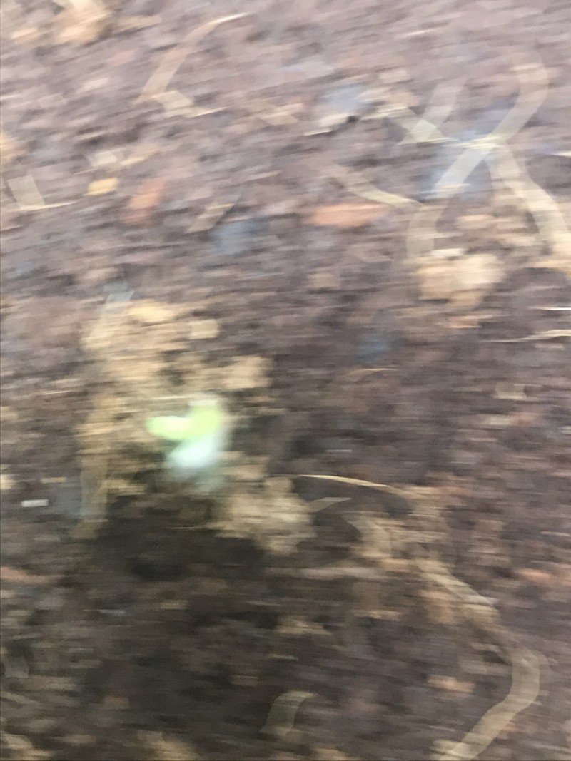 CA36E633-52DC-4963-A7F8-FE2D6118A88A