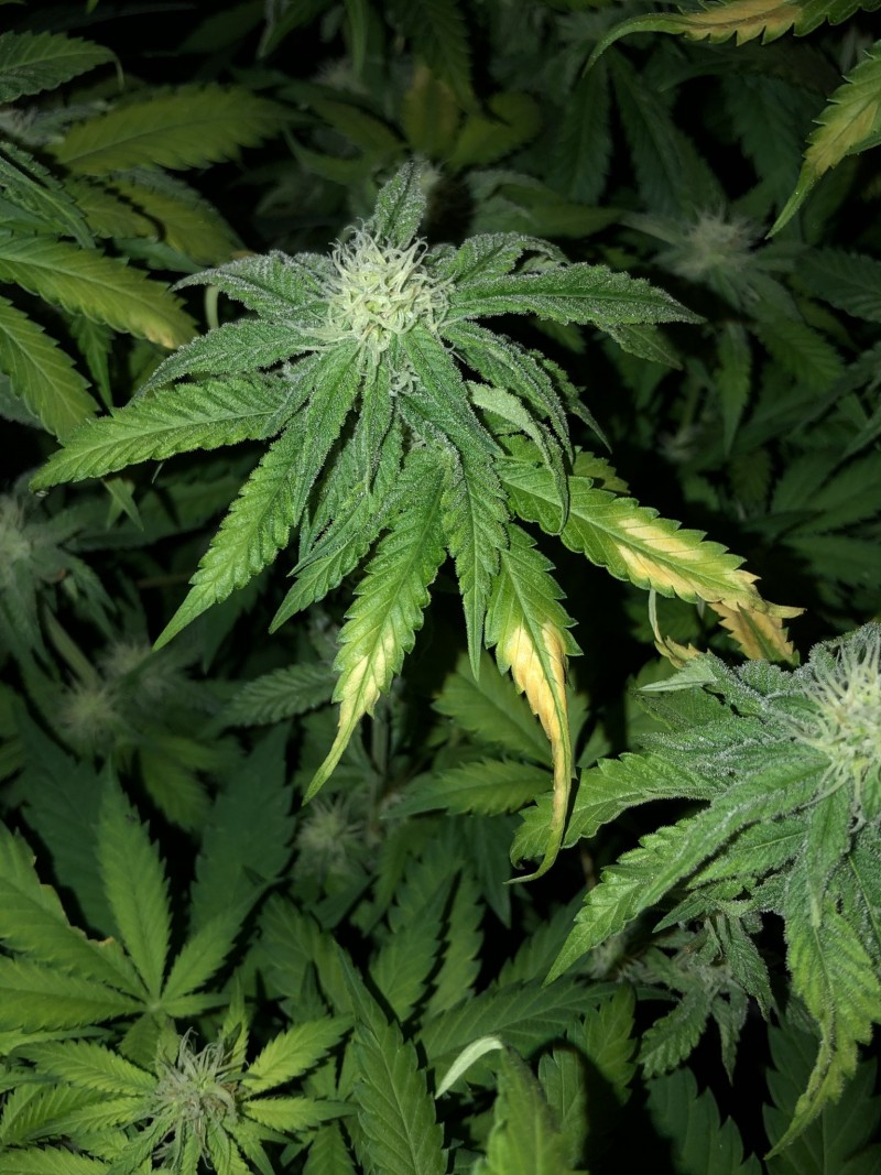 768D8A6C-88AD-46E6-9F47-605EFDA1E2BD