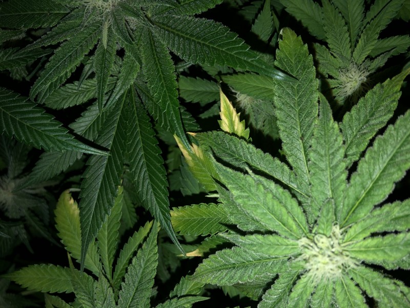 26BA0830-C6A6-4EDC-BF7C-E82B52F4C8B8