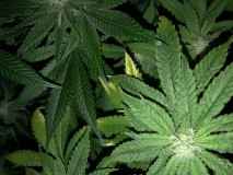 26BA0830-C6A6-4EDC-BF7C-E82B52F4C8B8