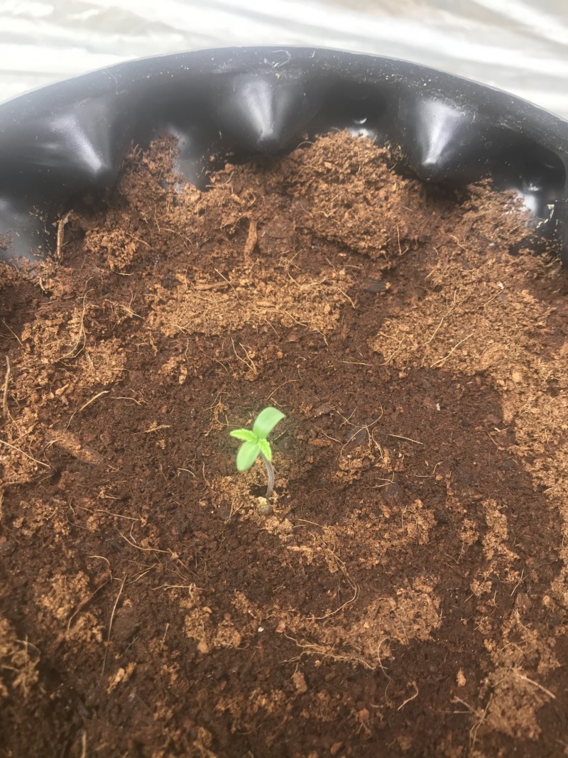 1150EB26-4A77-479A-ACAC-E34E44611314