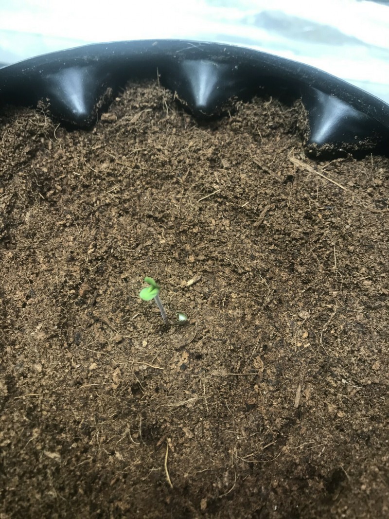 B680A17A-FDC5-4700-96DF-0D22D001524B