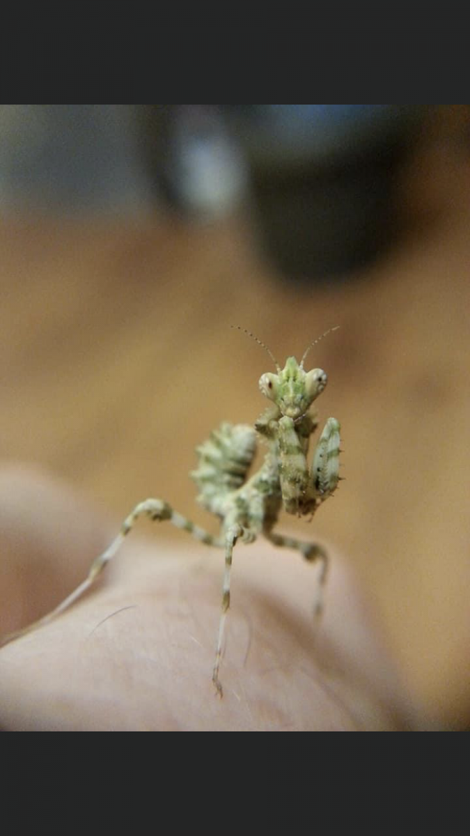 42C90FC8-B681-4EFF-B455-F9B964736836