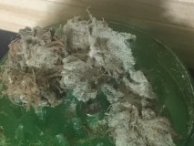 84302EBB-D0A9-41EF-88C7-C380217AE7DA