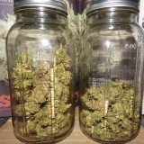 bbbbbbbbbbbbbbbbbbbbbbbbbbbbbbbbbbbbbbbbb