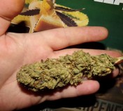 ddddddddddddddddddddddddddddddddddddddddd