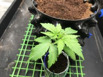 D2F2871B-DA3B-4CA5-9104-2891989A9CF1