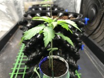 25B77121-8790-469D-A1B5-5AA18902D1B0