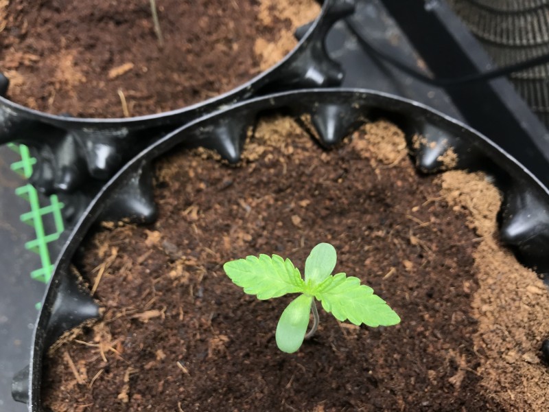 2BF6E31A-BCE9-4063-B54D-73A412F72DF2