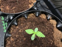 2BF6E31A-BCE9-4063-B54D-73A412F72DF2