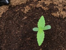 3A158578-288E-4FF0-B721-C898F466F960