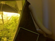 697AA8B6-88A7-4603-BE0E-2AD544CEEE06