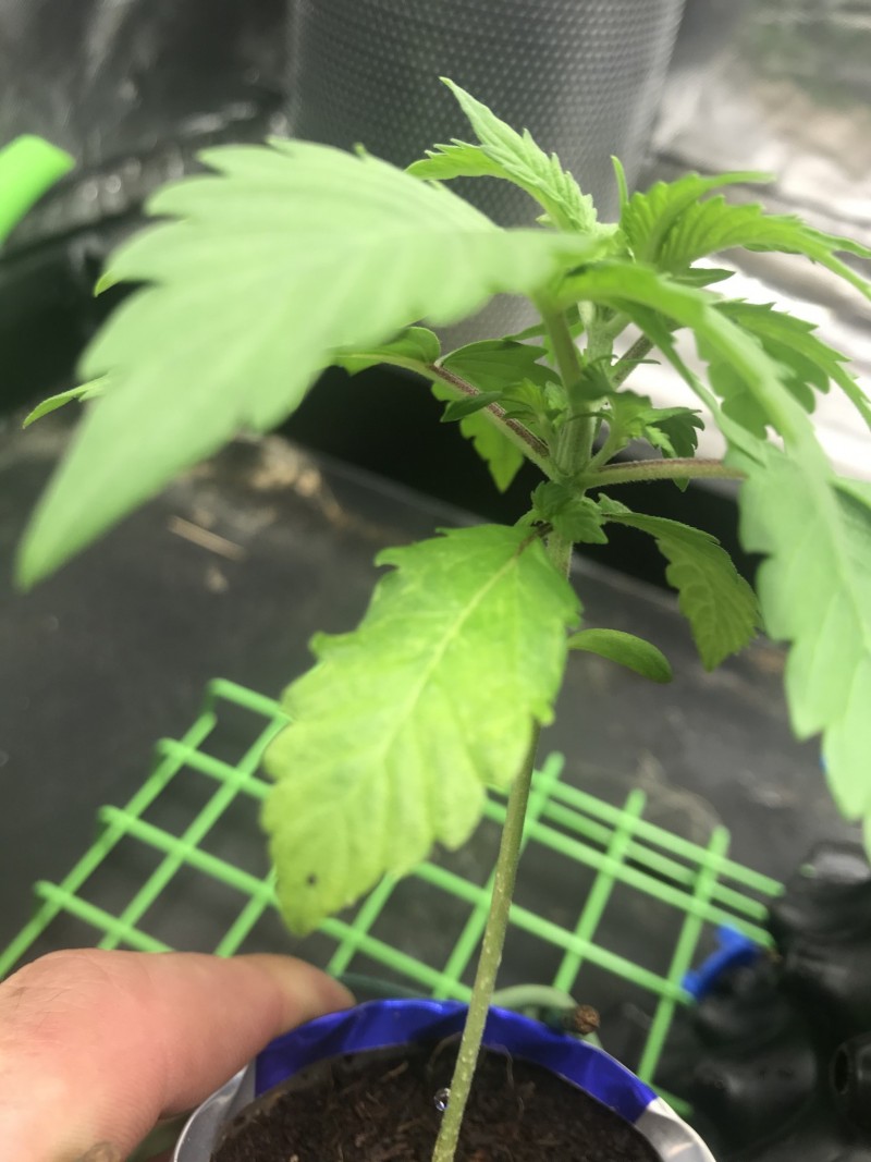 AA468034-00A8-4AAB-A891-77C803A2AD3E