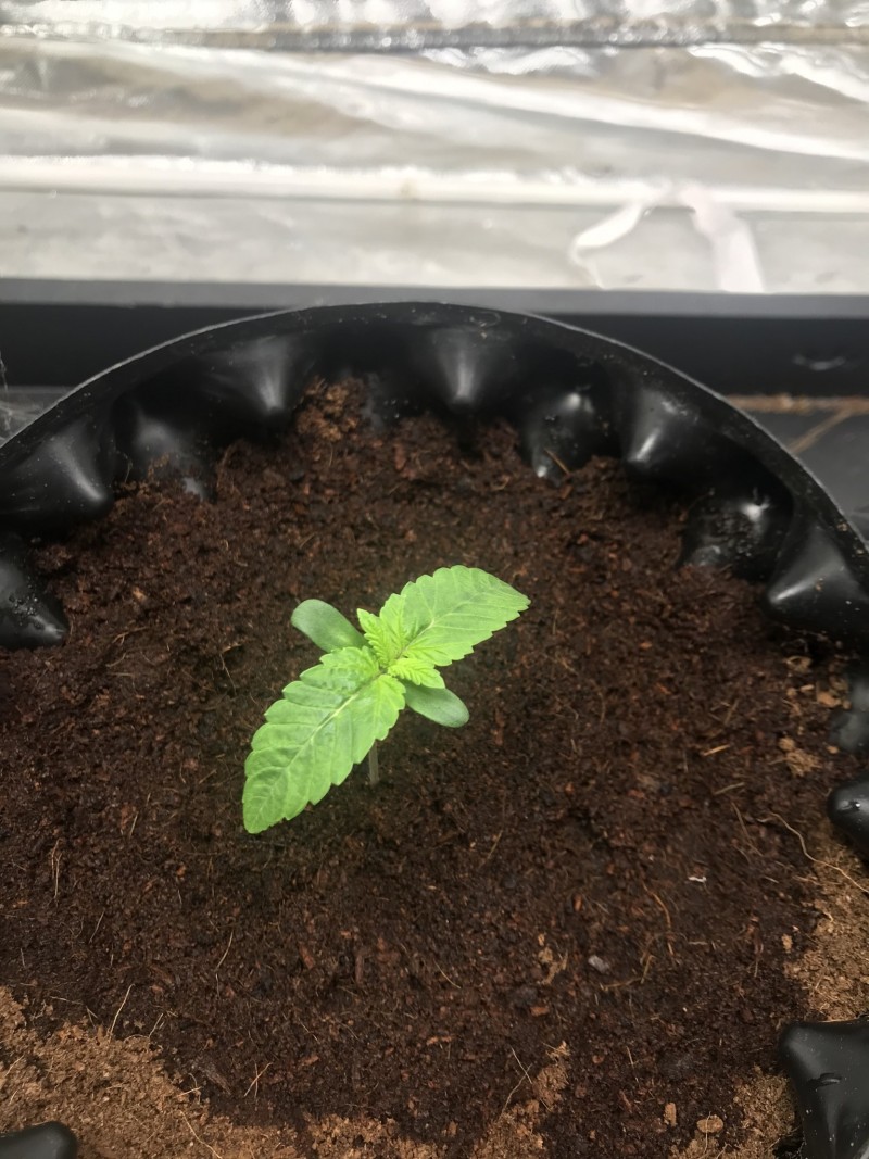 E1D19FEE-C862-429B-A642-316D1BB1ABE9