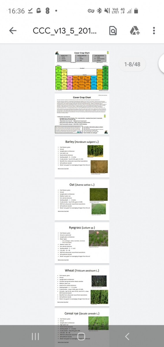 Screenshot_20200816-163613_Drive