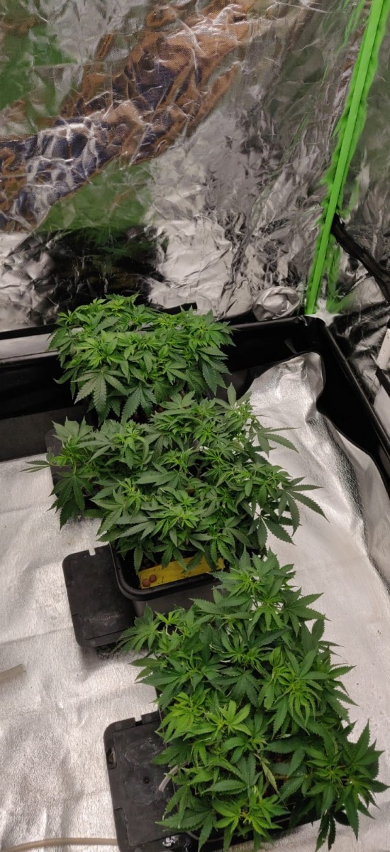 71DaysOld-WMWC-New-Home-A