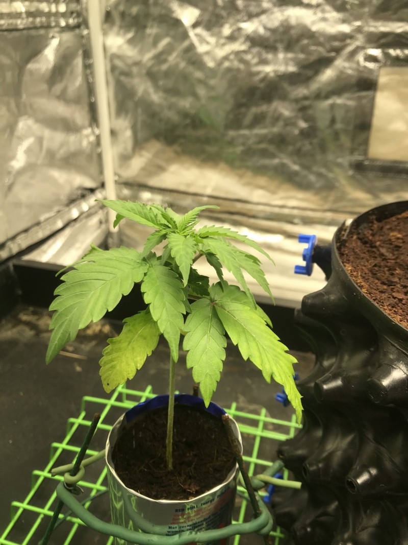 08F75A38-C965-44C0-8242-6FE5549C820D