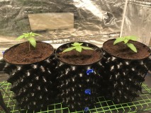 04318FB6-2C5B-4778-9DBE-B838F8FF3D82