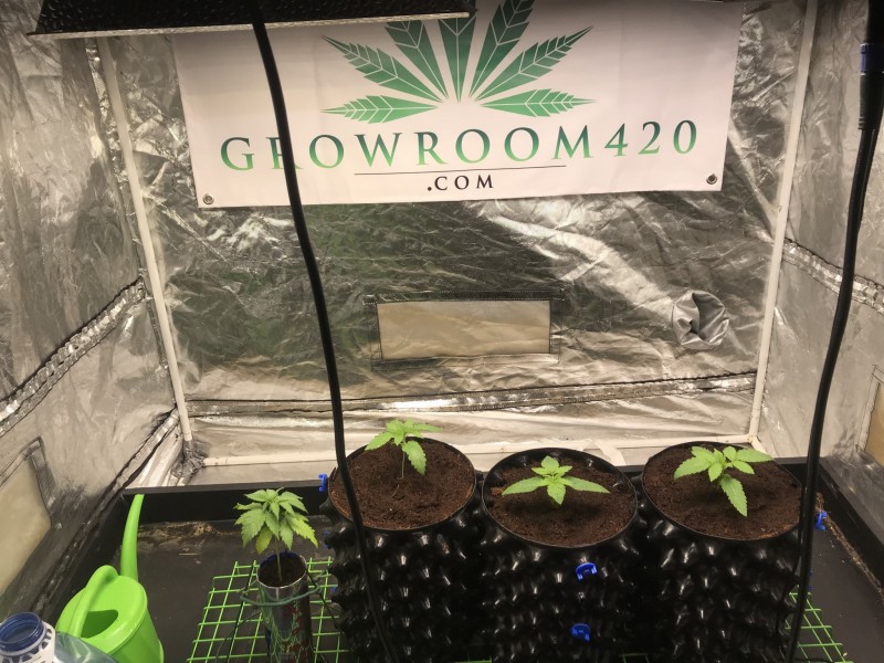 034FAC9C-567F-4285-B1F3-13BF7D250143