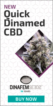 banner-dnf-2020-180x360