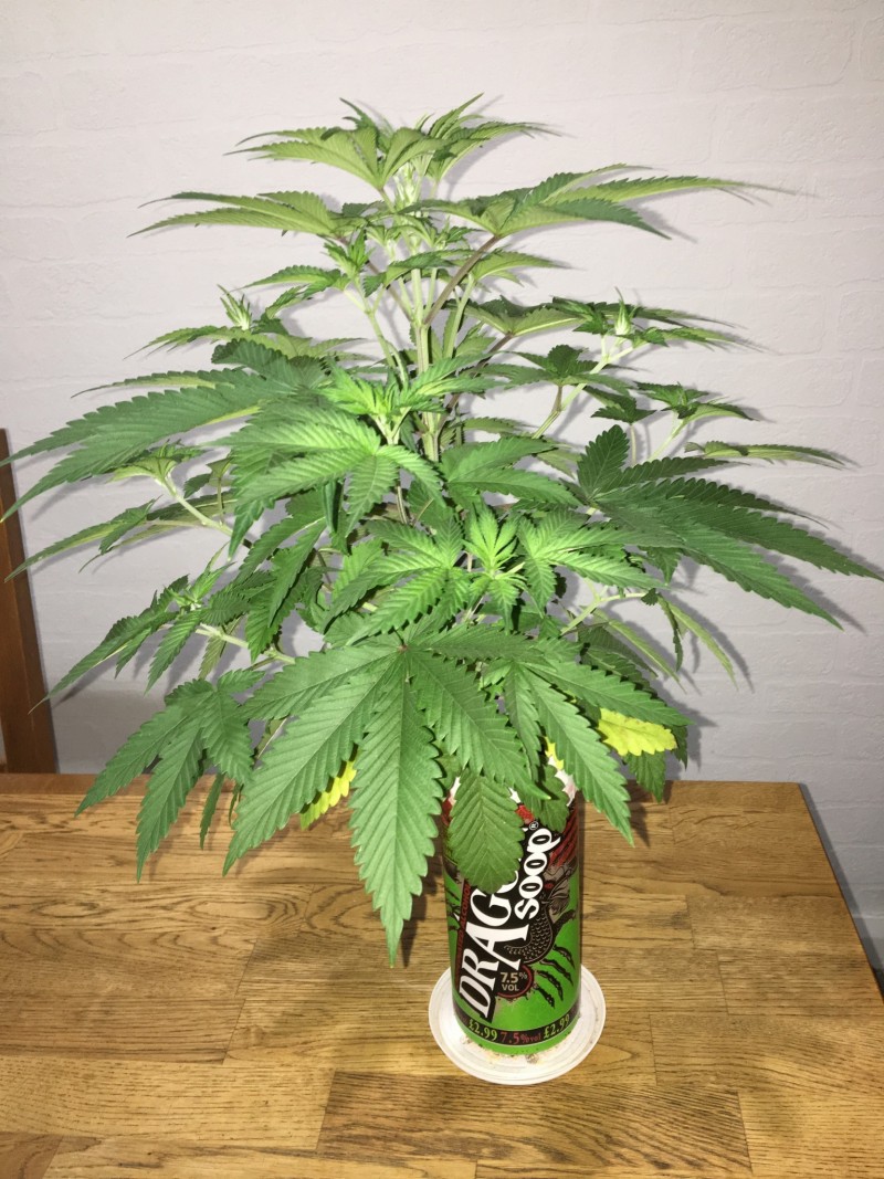 1EAB38BE-BB2F-4084-8495-D1670E51F992