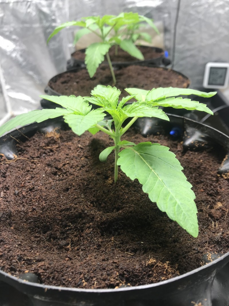 C3132530-BA00-4B4F-9757-3E8A180D130F