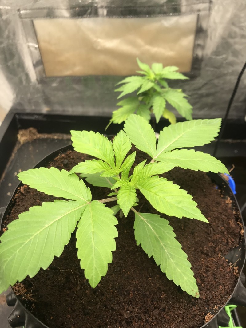 6376F420-9E4A-4EB8-A88A-F1E310D8CA2C