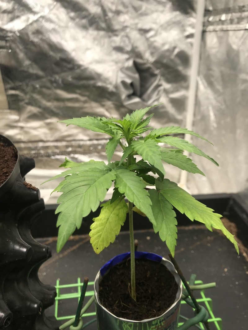 6479BD04-26D6-4287-B8F5-BD586A0F5BCD