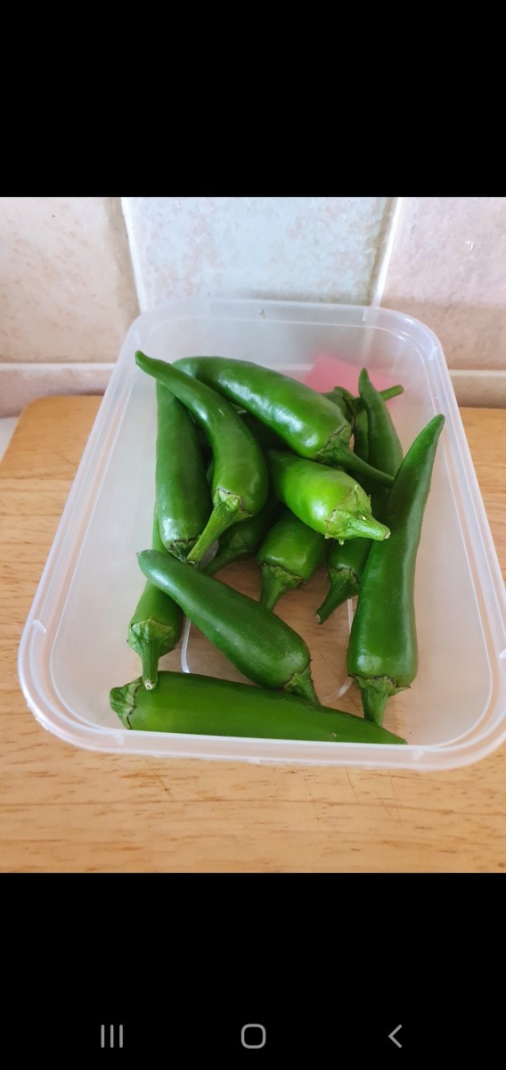 Screenshot_20200820-094515_Gallery