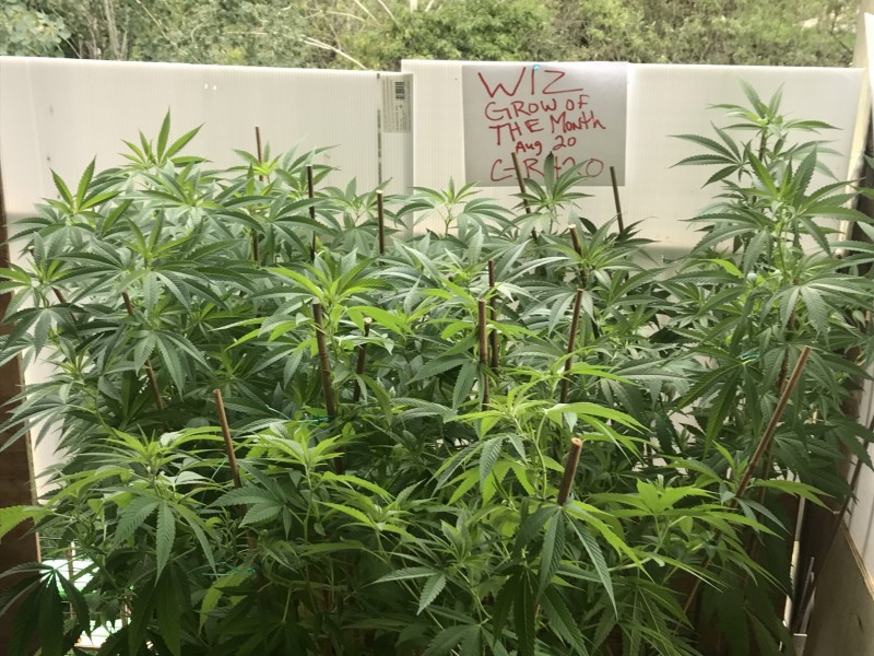 A4083F4F-82E5-4246-81EC-2F4FC2B14058