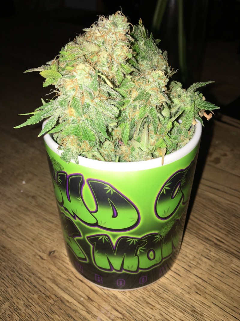 8C08AA76-D431-4537-9EA3-7417A23106CE