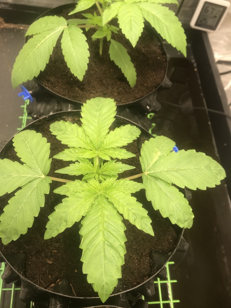 2FDBB8F4-3C3E-40C7-A483-043F2025CDEB