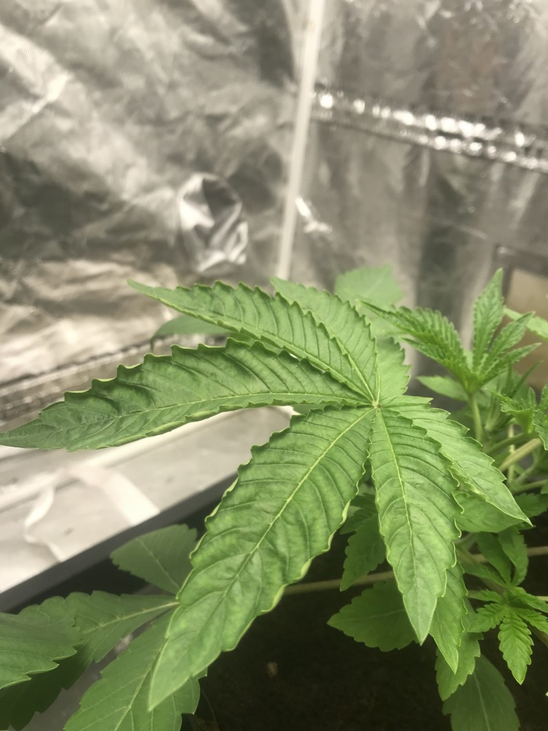 BC597B87-060C-41DE-B2F7-4CB3B3C6340E