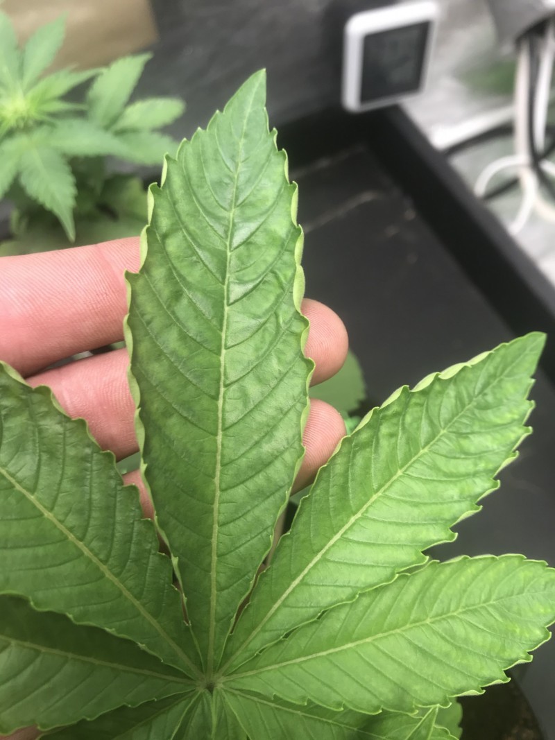 526E6FE9-7576-4E9C-AED2-5C7367BEC4BE