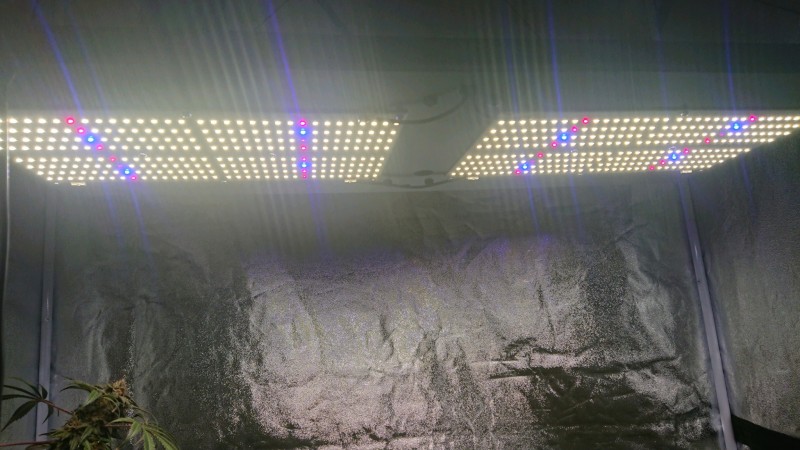 obscura1598369576129