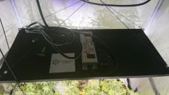 obscura1598369545443