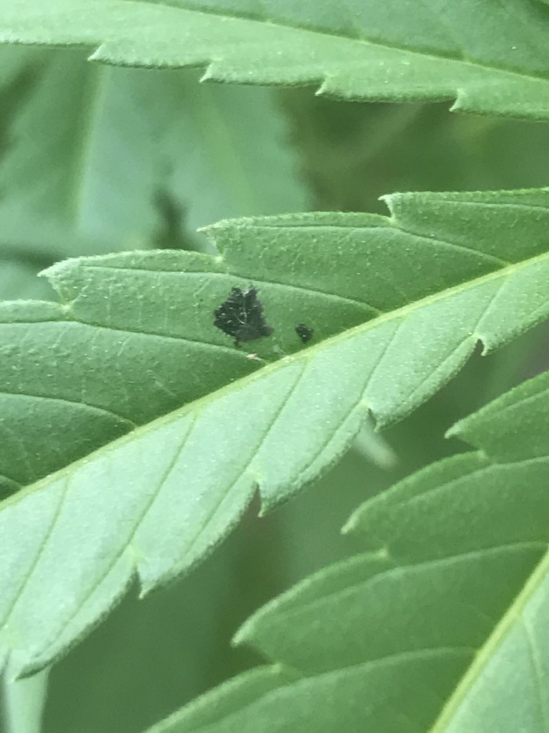 17D630CD-EB9B-4B1A-89B8-1EBDF4499EF5