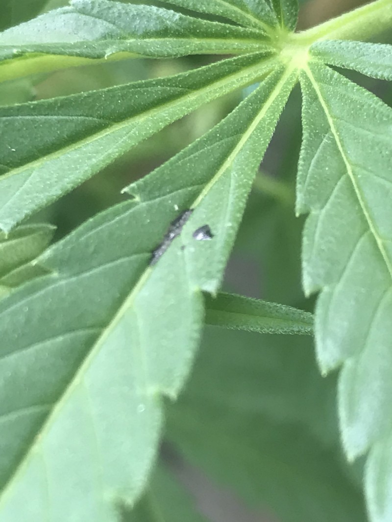 BDEB2359-43F3-4308-A5BA-FDCBFA892070