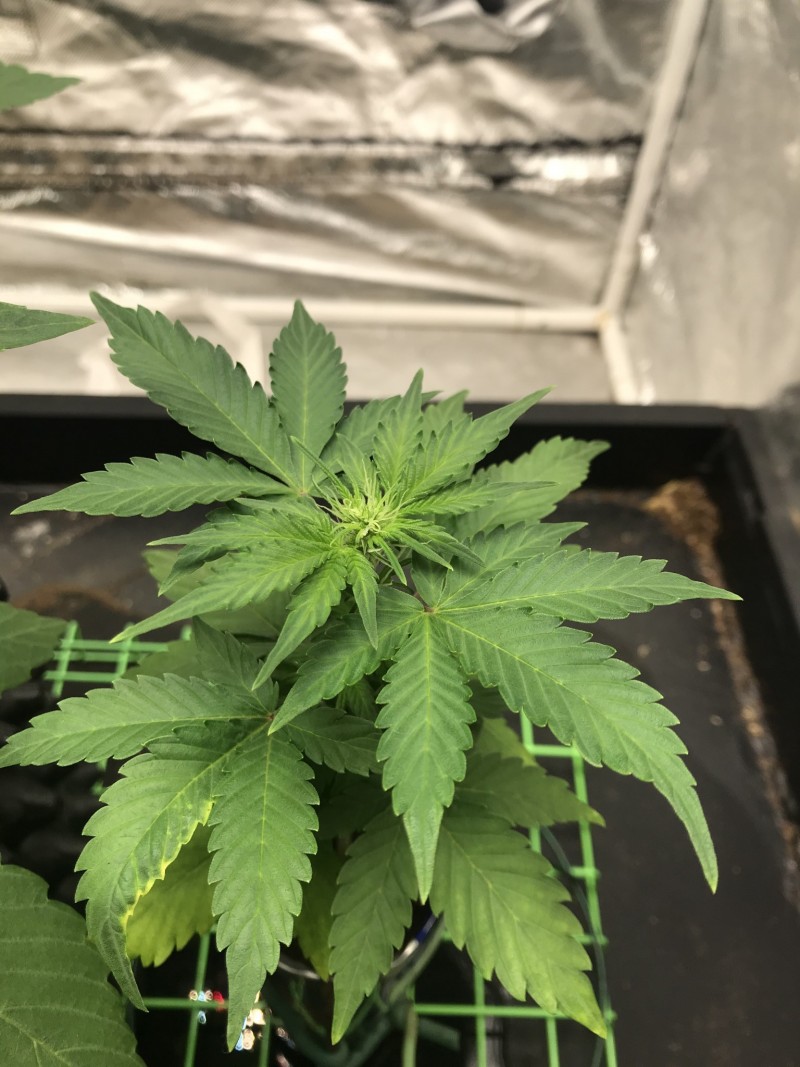 EE72B90E-C4A4-4369-87BE-694185AE2F20