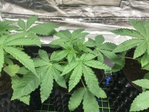 F5607BC6-9CA5-4DFE-A365-110005634B0A