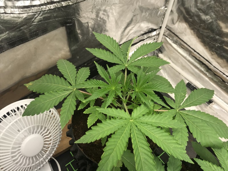 DA3D00B5-3461-4629-9150-1489184DF516