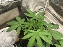 DA3D00B5-3461-4629-9150-1489184DF516