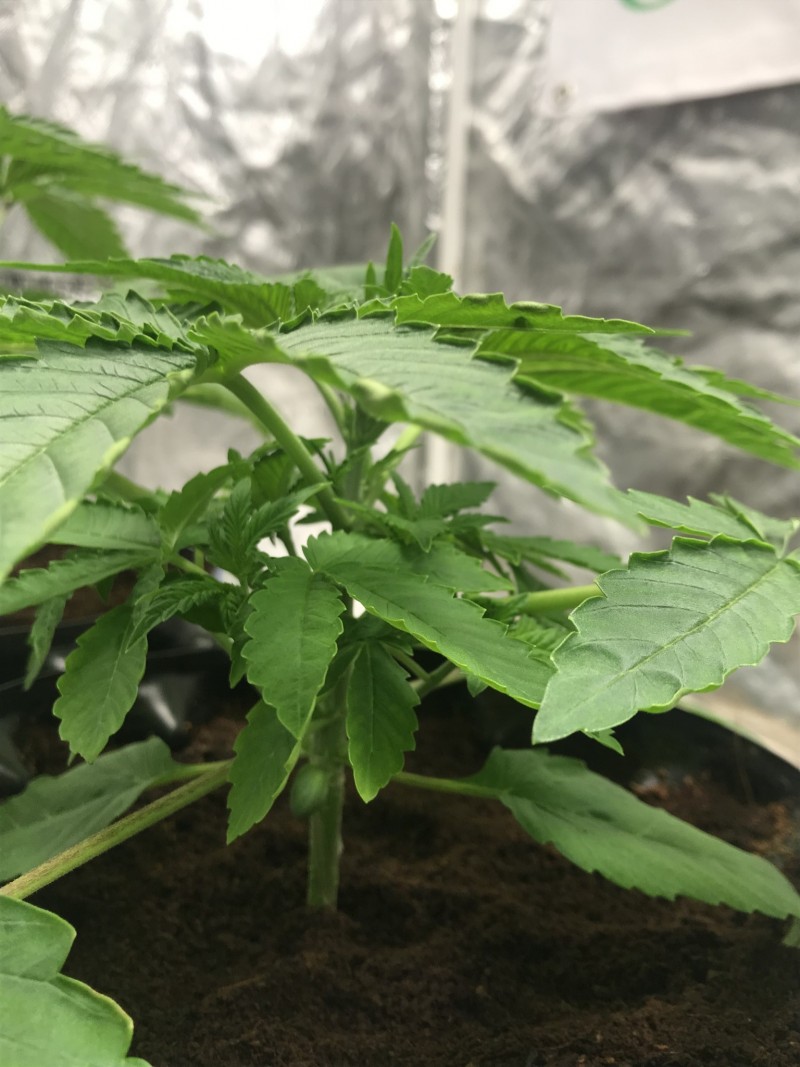 F354616F-98F4-41D2-938B-C2A5938B3144