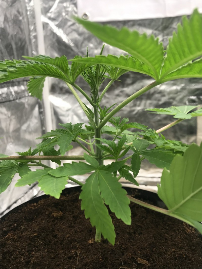 2267D752-6362-4706-BE09-43A406C849E0