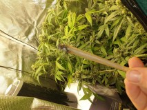 15984620430528088604494279140673