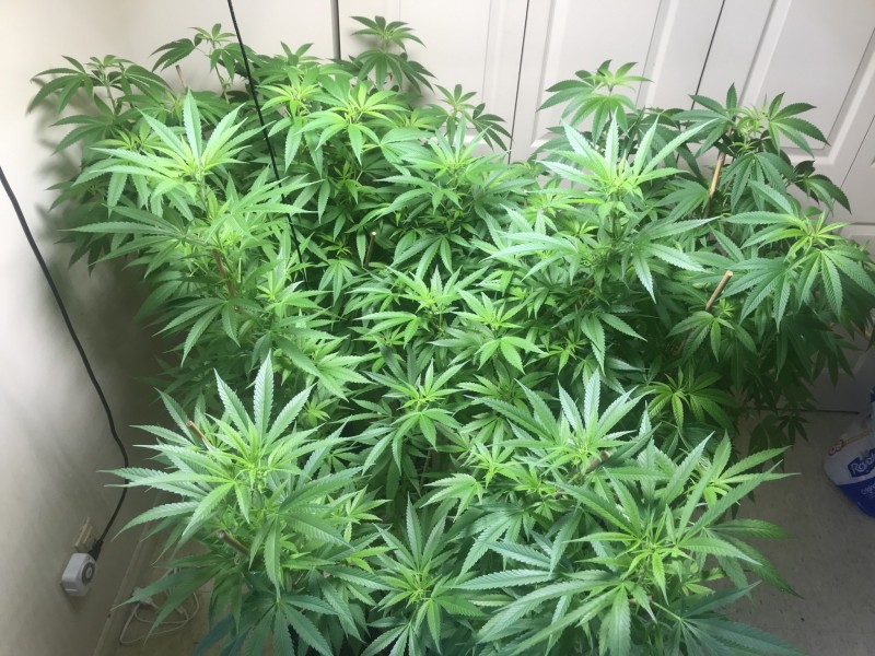 6EBD5310-8694-4BB5-9498-4AAA0EC1D51A