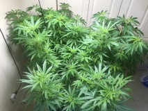 6EBD5310-8694-4BB5-9498-4AAA0EC1D51A