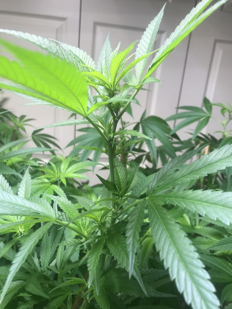 13432813-1E61-4E95-A3A2-0E951E99FA54